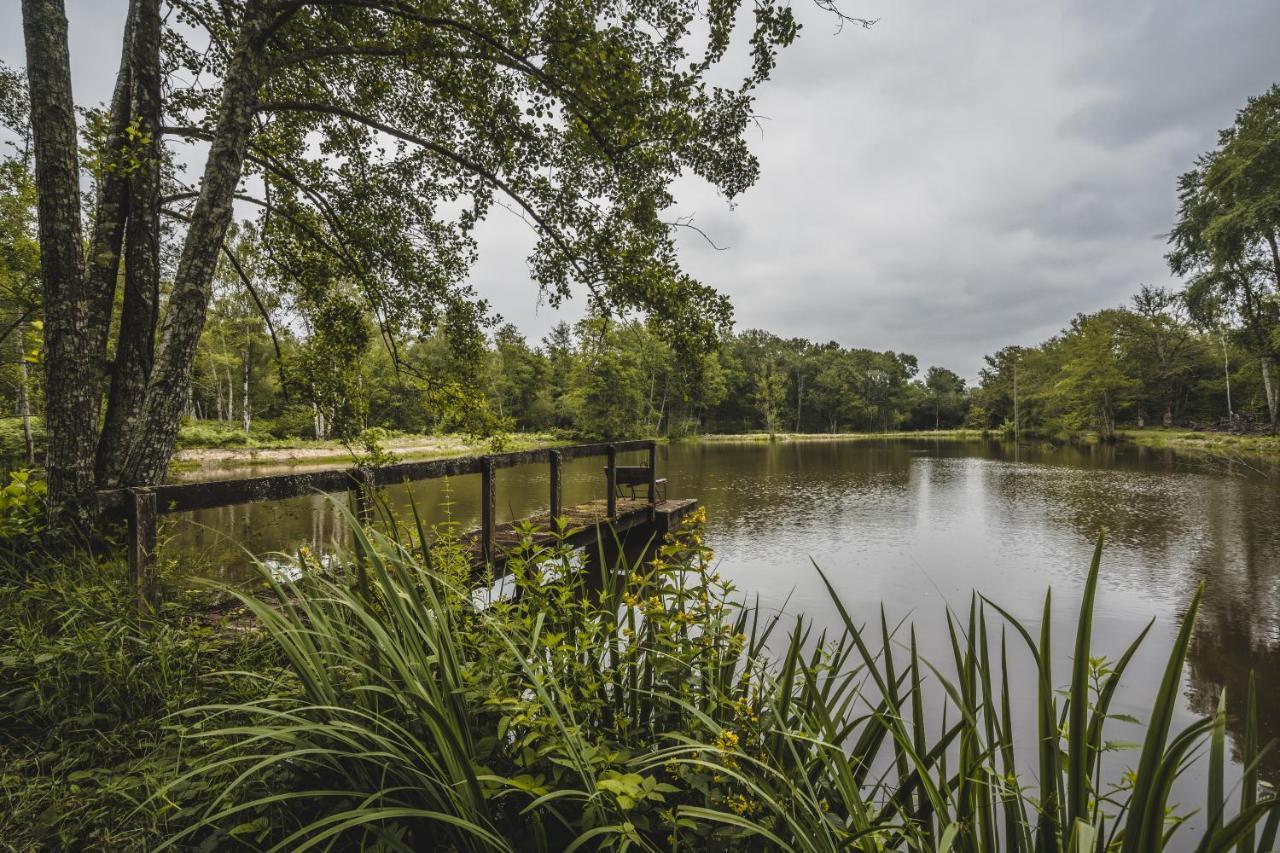 Villabry La Ferté-Saint-Cyr Zewnętrze zdjęcie